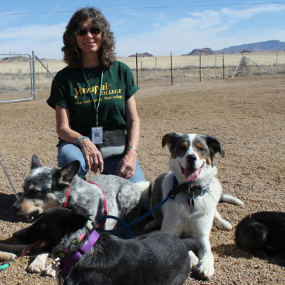 Canine Training Field