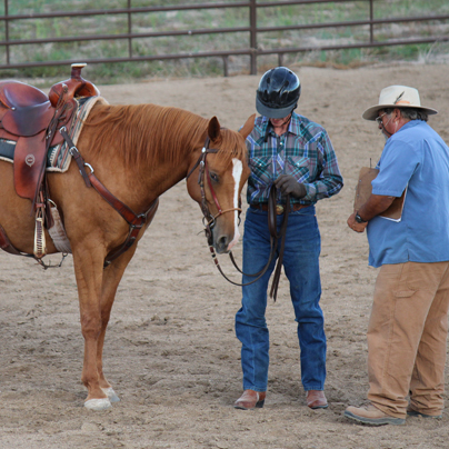 Equestrian Area