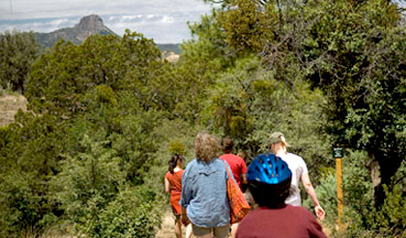 Walking in a group