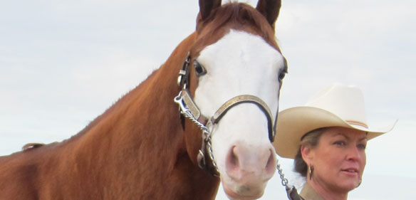 Cowgirl and a horse