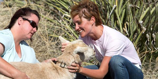 Woman petting a goat