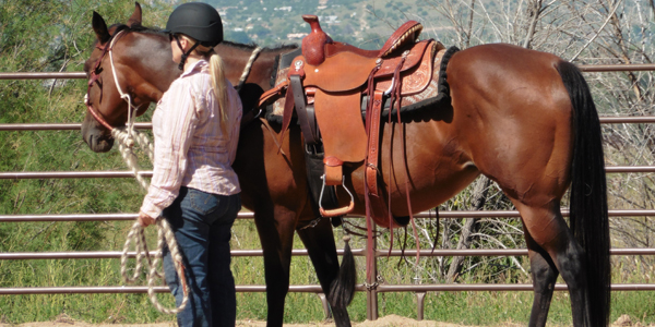 Student leading a horse