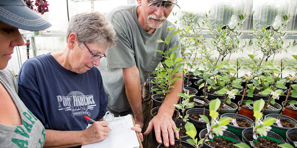 Student taking notes in greenhouse