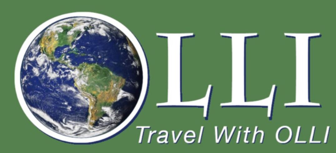 Man on laptop in a cabin