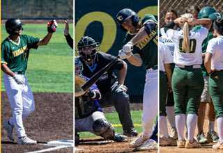YC softball and baseball player collage