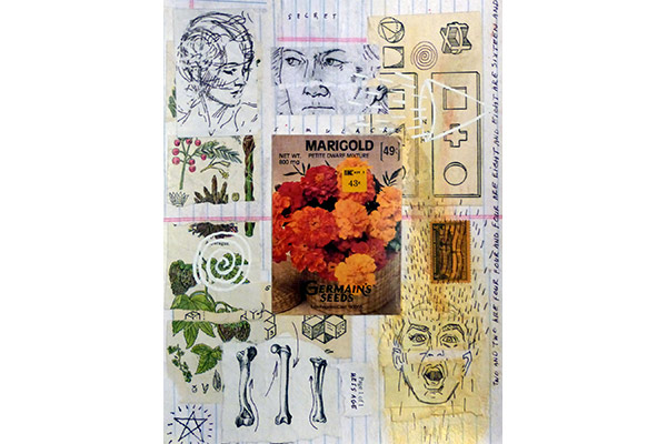 Jeff Falk Marigold