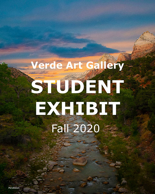 Student Fall Exhibit 2020