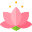 lotus flower icon