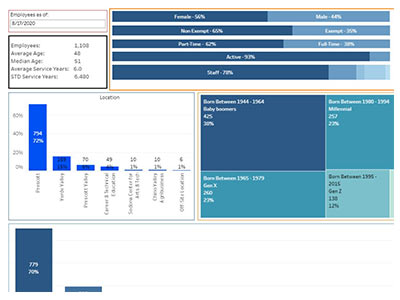 Employee Demographics dashboard thumbnail