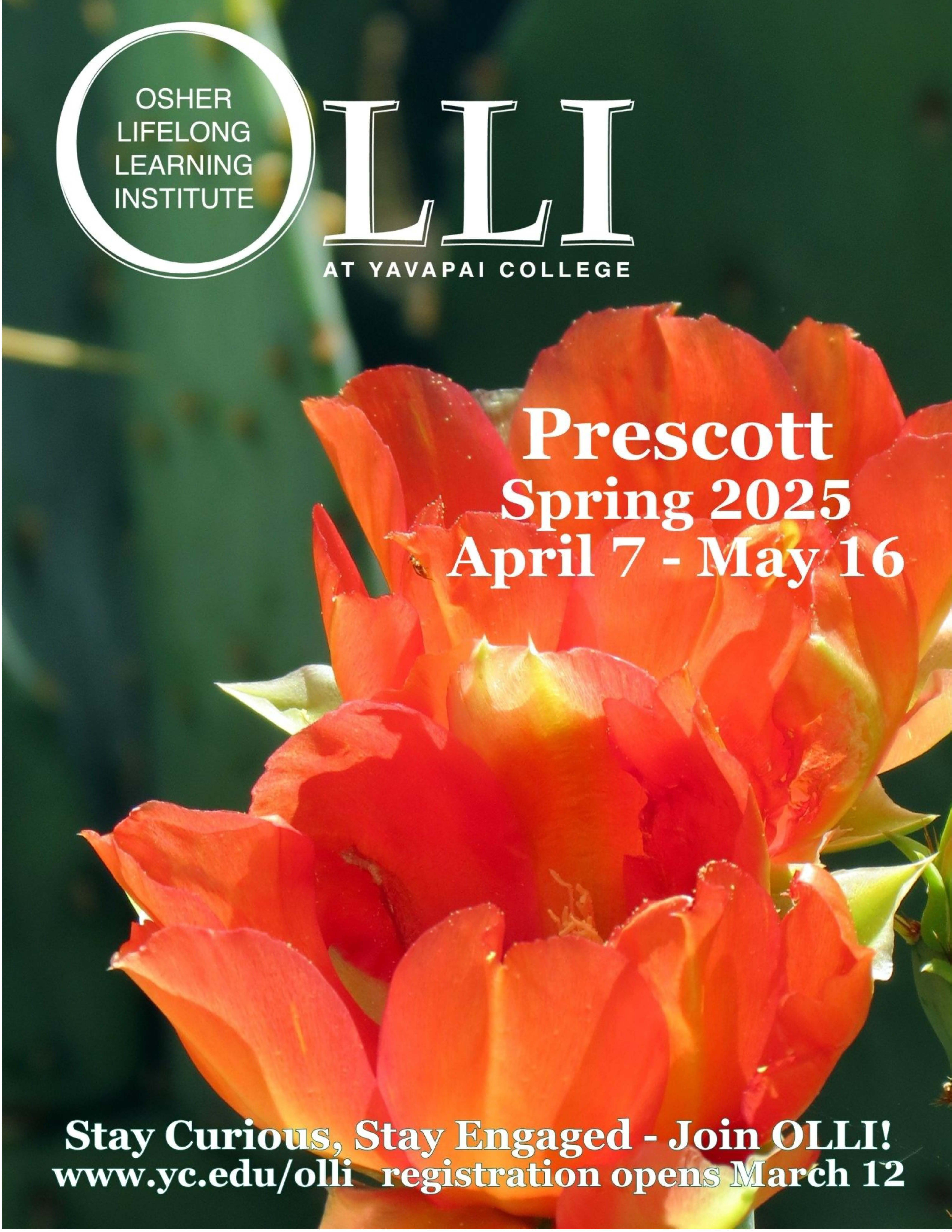 precott-olli-catalog-cover.jpg