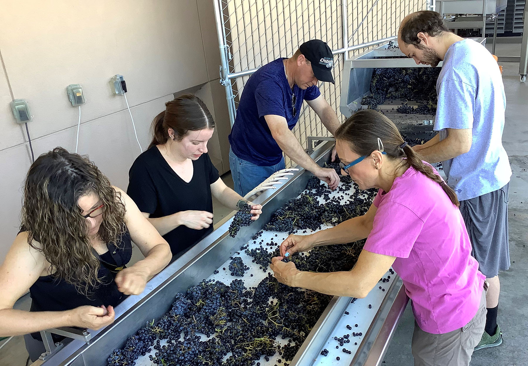 Southwest Wine Center at Yavapai College