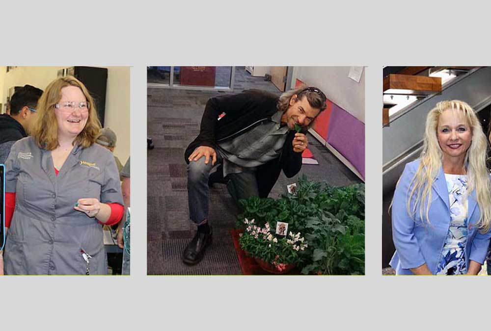 YC faculty, staff members honored nationally for educational excellence