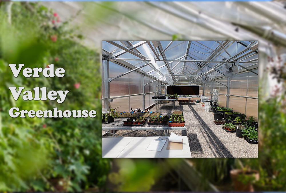 Greenhouse