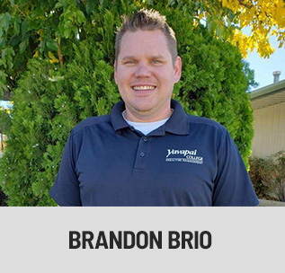 BRANDON BRIO