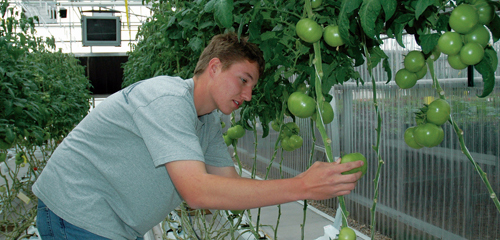 Slide image for Agriculture Technology Management - AAS