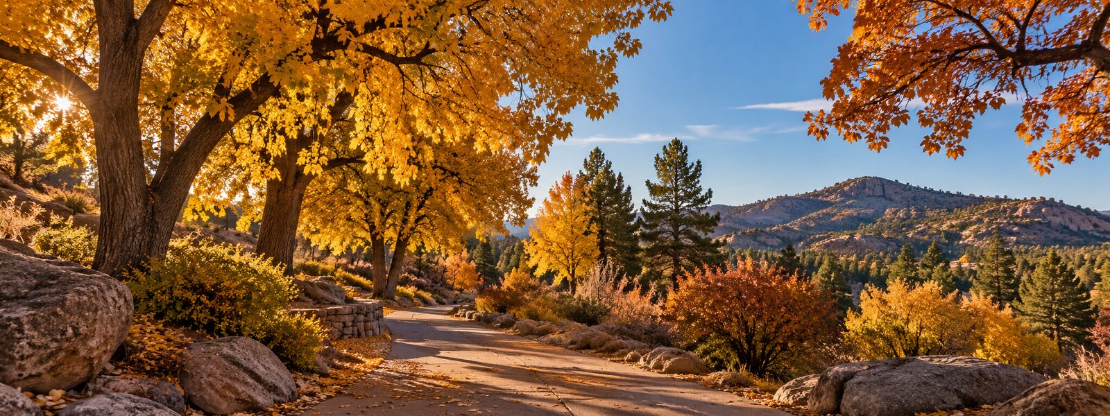 Golden autumn trees and a peaceful path in the northern Arizona high country.